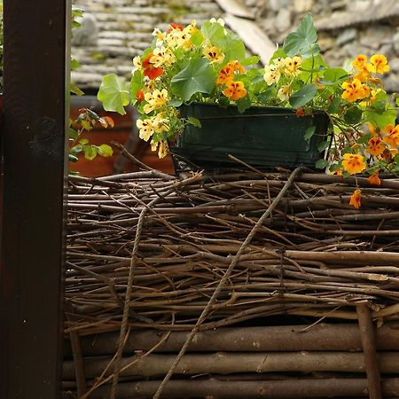 Residence Casa Dei Fiori Alagna Valsesia Buitenkant foto