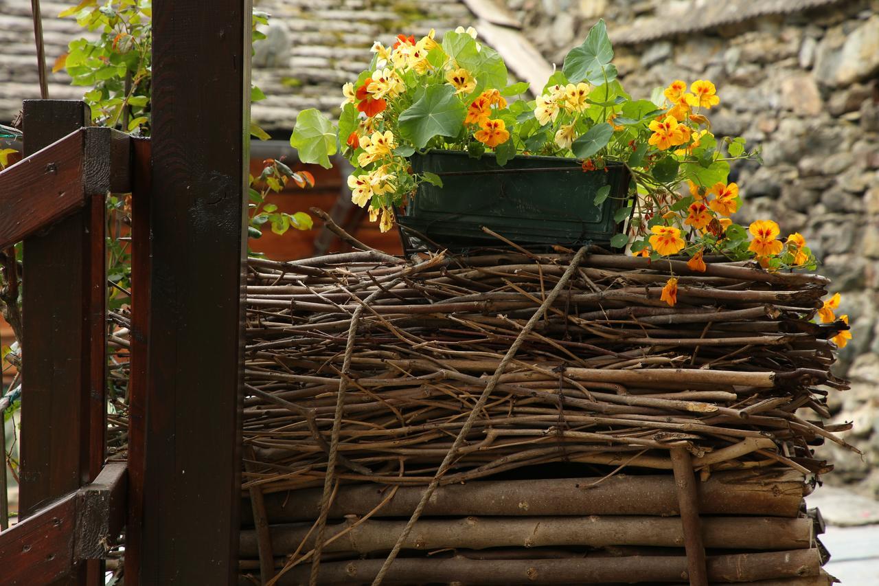 Residence Casa Dei Fiori Alagna Valsesia Buitenkant foto